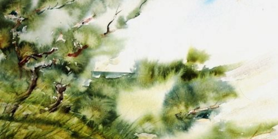 3_Aquarell_Kra_ppelkiefern_500
